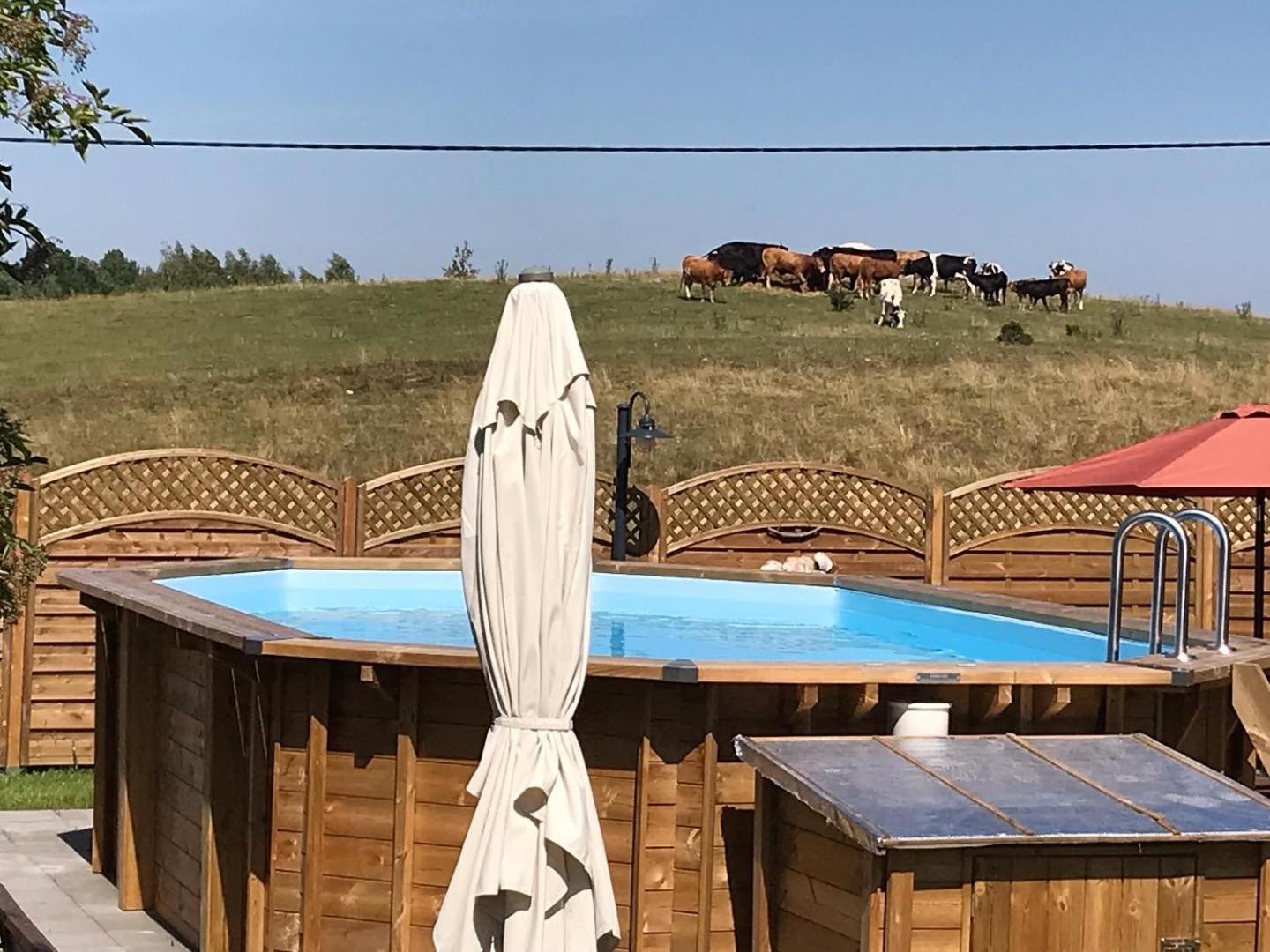 Siedlisko Na Gorce Villa Zalec Екстериор снимка