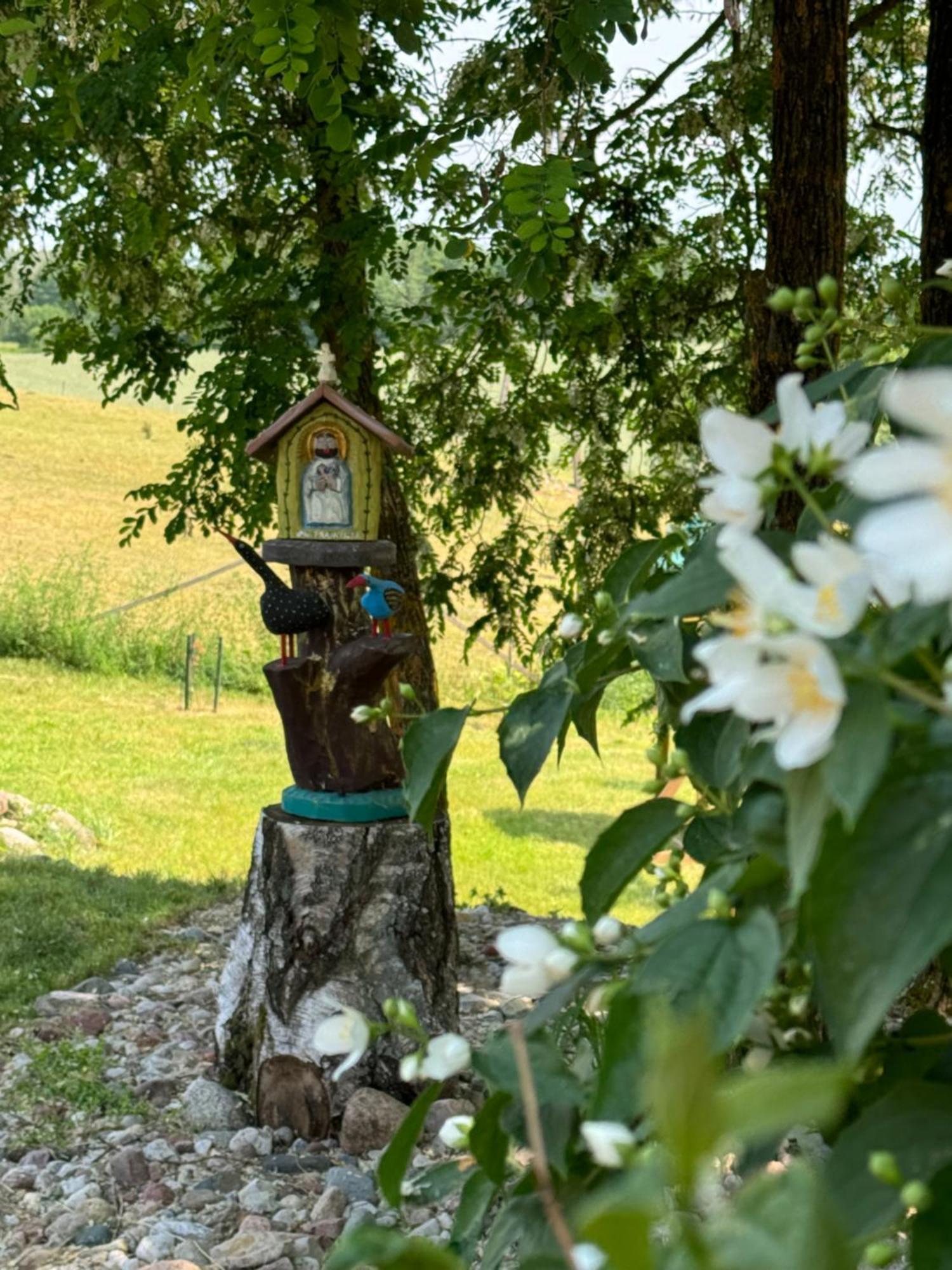 Siedlisko Na Gorce Villa Zalec Екстериор снимка